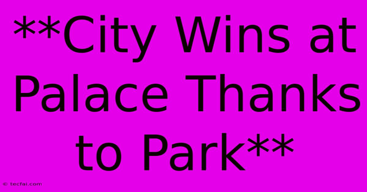 **City Wins At Palace Thanks To Park**