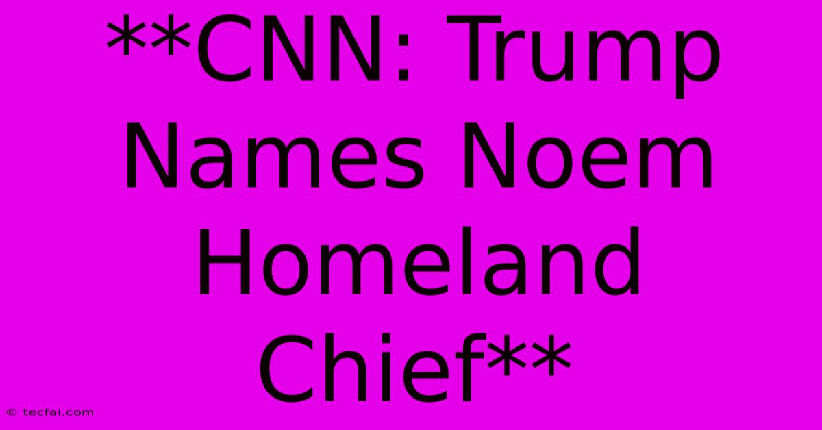 **CNN: Trump Names Noem Homeland Chief**