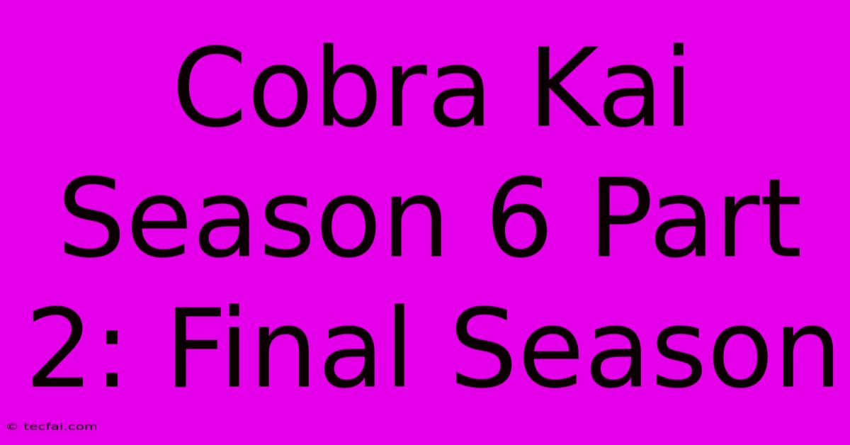 Cobra Kai Season 6 Part 2: Final Season 