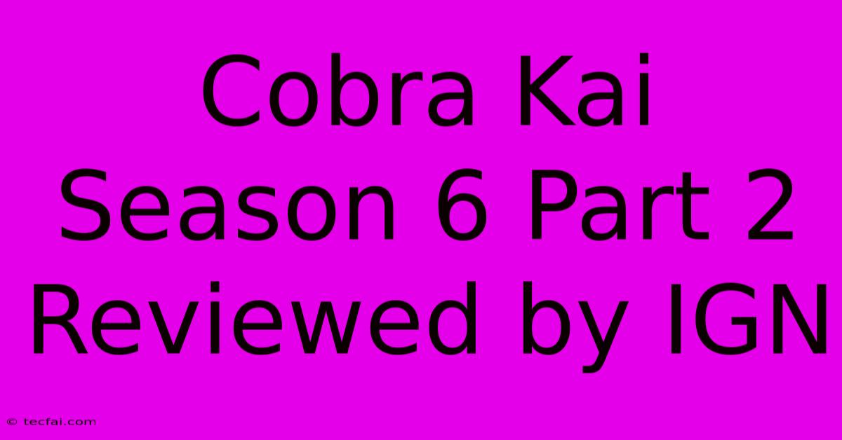 Cobra Kai Season 6 Part 2 Reviewed By IGN