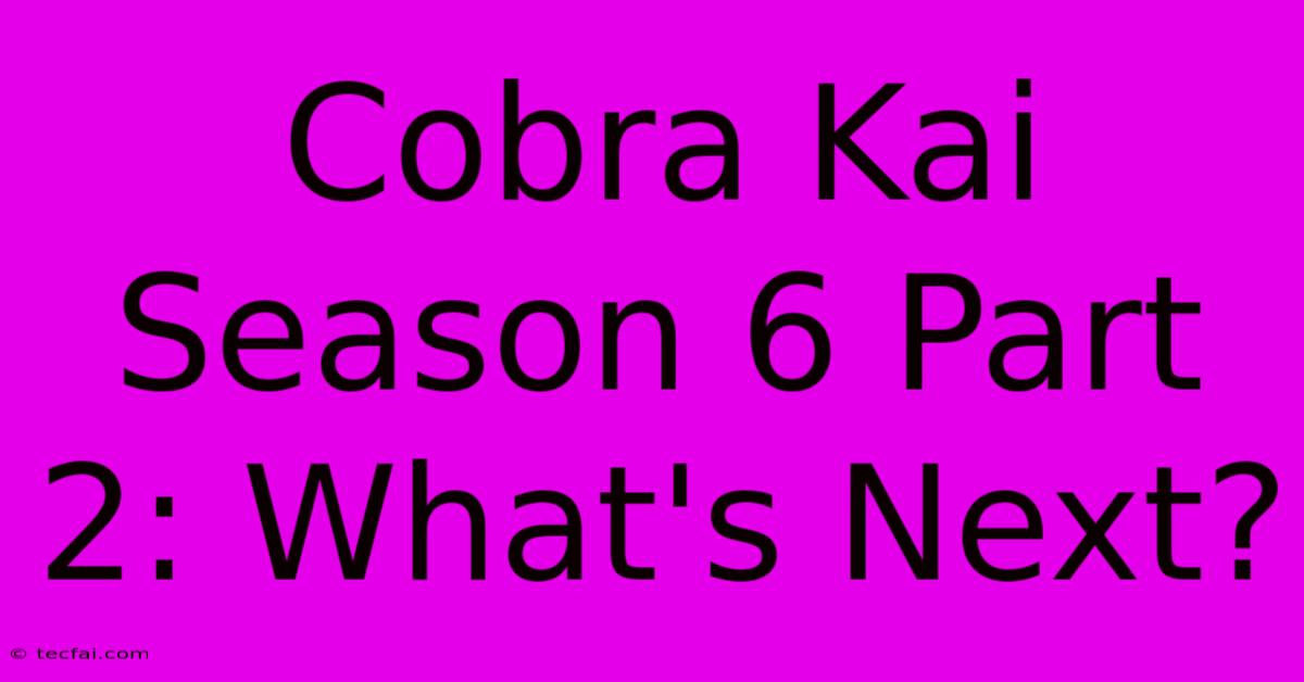 Cobra Kai Season 6 Part 2: What's Next?