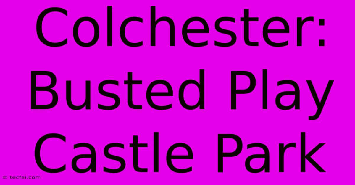 Colchester: Busted Play Castle Park