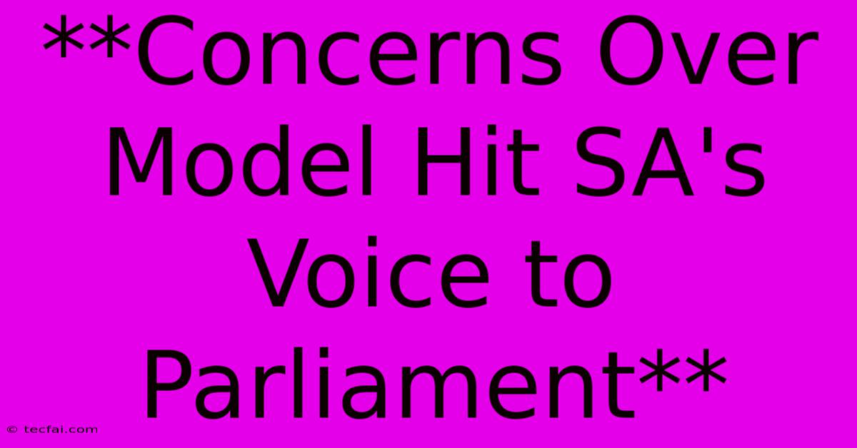 **Concerns Over Model Hit SA's Voice To Parliament**