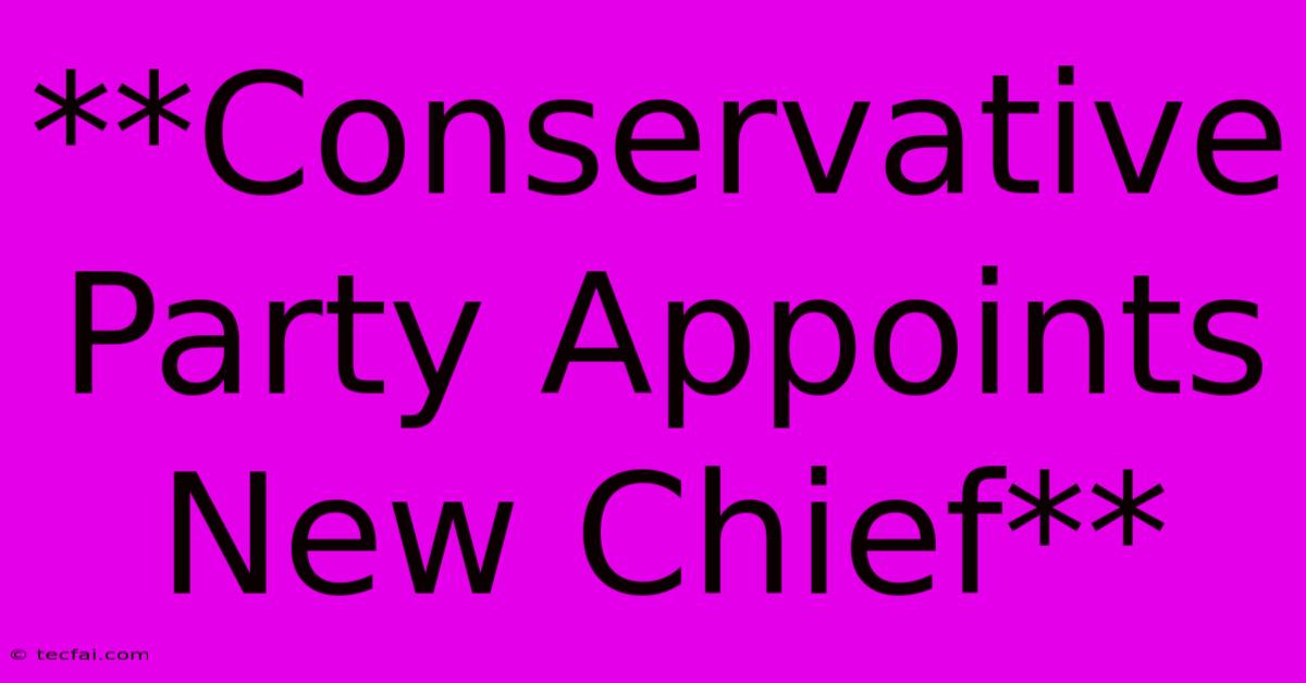 **Conservative Party Appoints New Chief** 