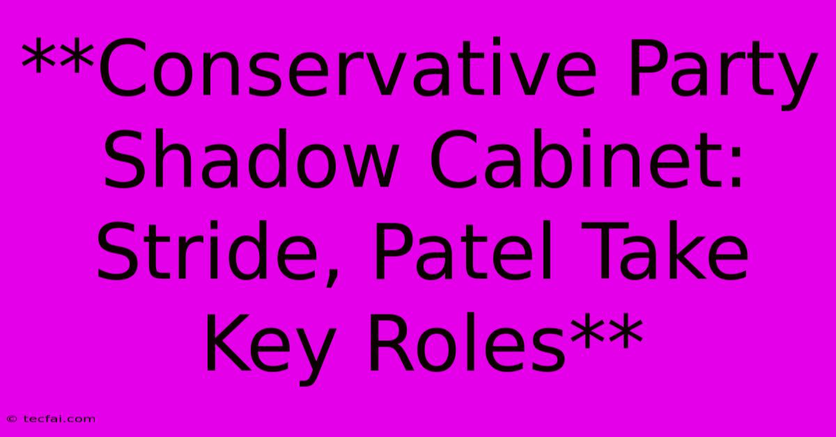 **Conservative Party Shadow Cabinet: Stride, Patel Take Key Roles** 