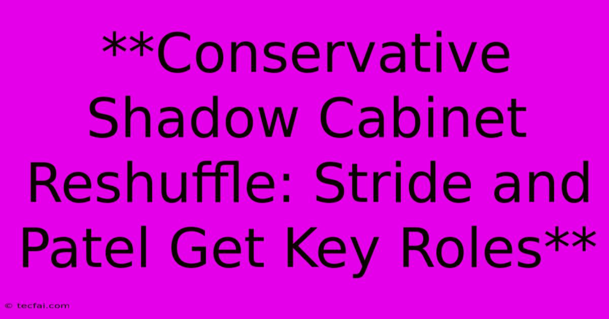 **Conservative Shadow Cabinet Reshuffle: Stride And Patel Get Key Roles**