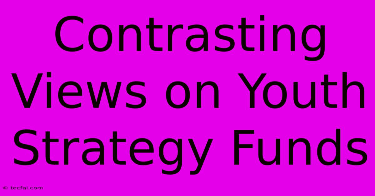 Contrasting Views On Youth Strategy Funds