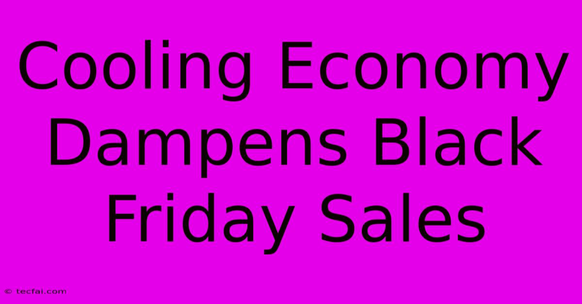 Cooling Economy Dampens Black Friday Sales