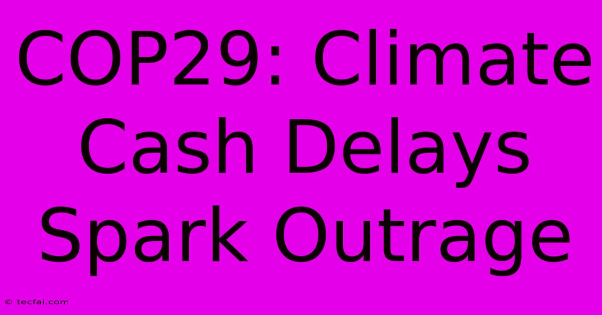 COP29: Climate Cash Delays Spark Outrage