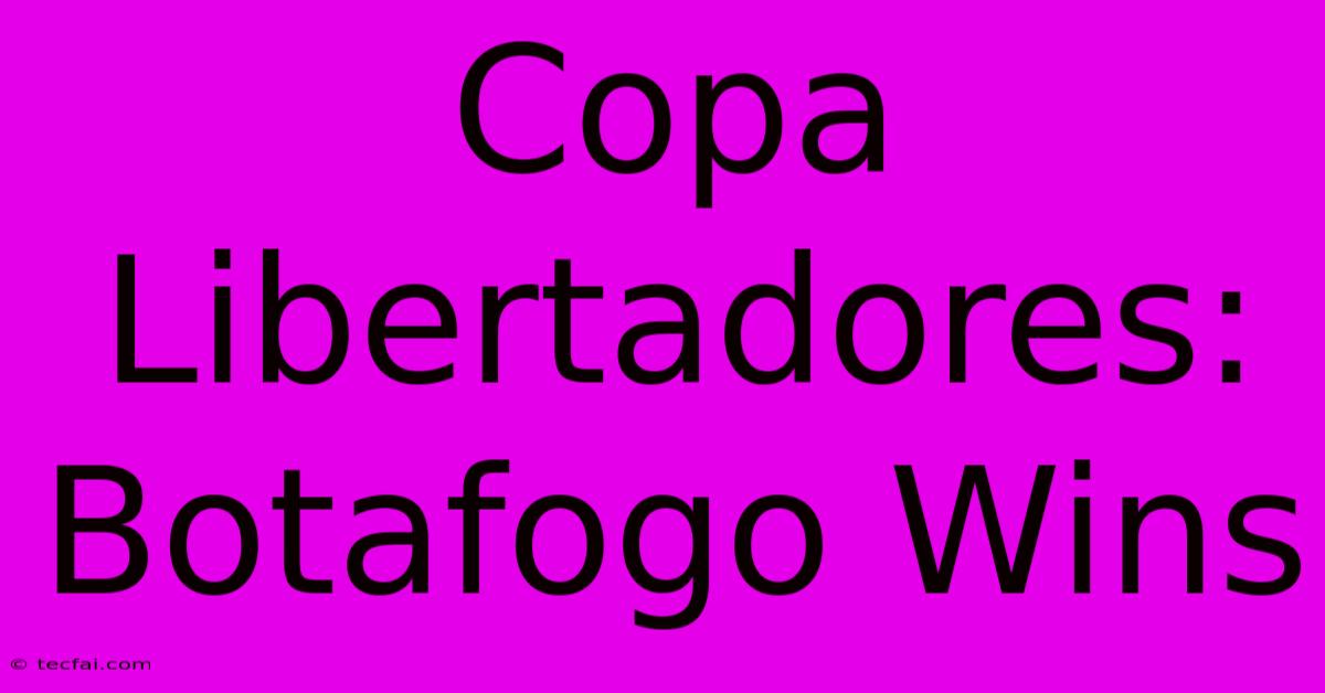 Copa Libertadores: Botafogo Wins