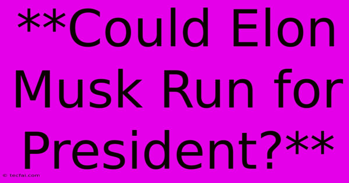 **Could Elon Musk Run For President?**