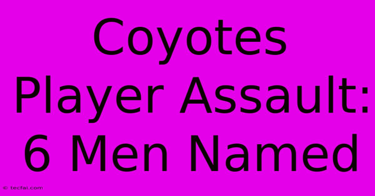 Coyotes Player Assault: 6 Men Named