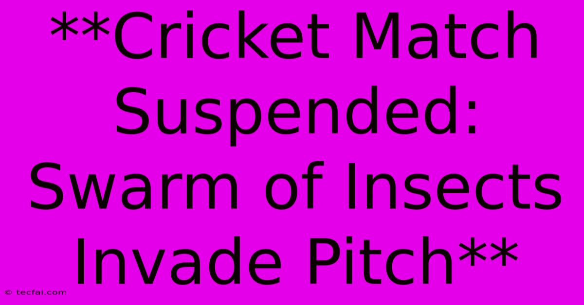 **Cricket Match Suspended: Swarm Of Insects Invade Pitch**