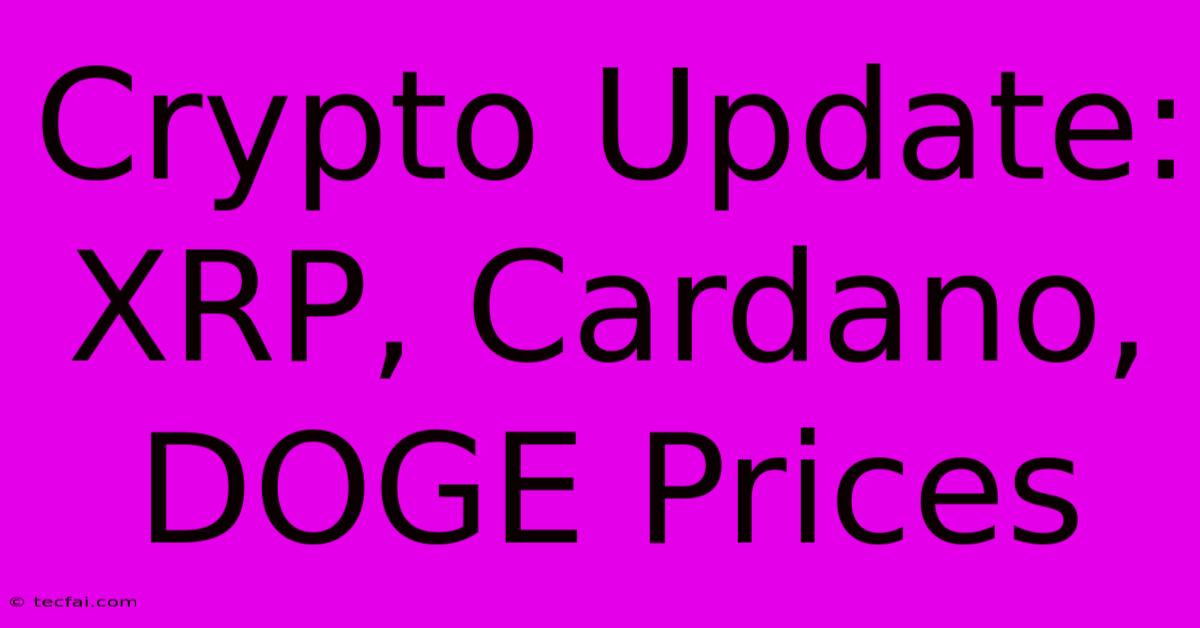 Crypto Update: XRP, Cardano, DOGE Prices