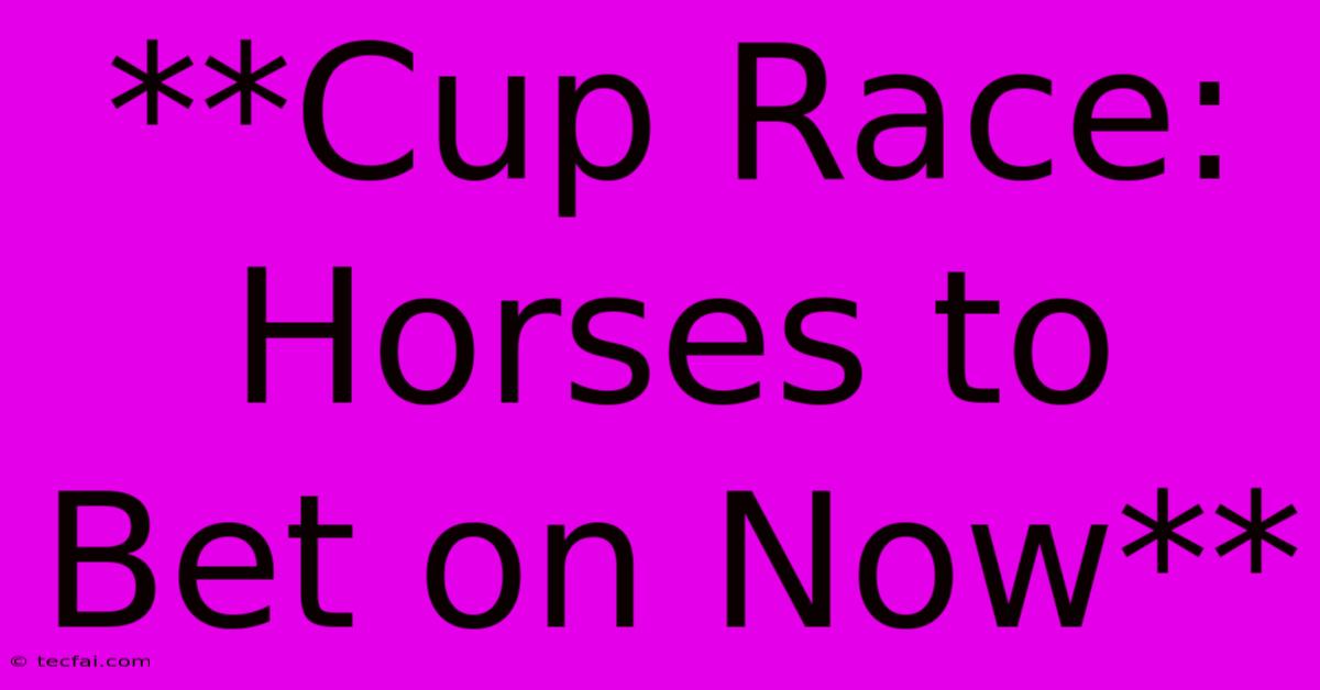 **Cup Race: Horses To Bet On Now**