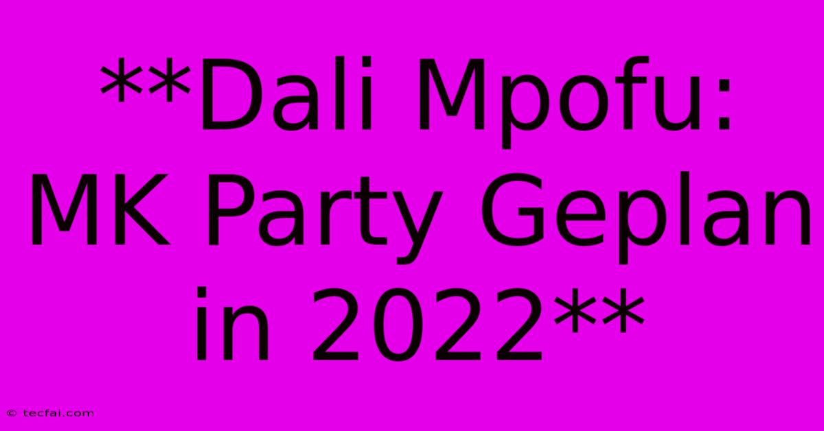 **Dali Mpofu: MK Party Geplan In 2022**