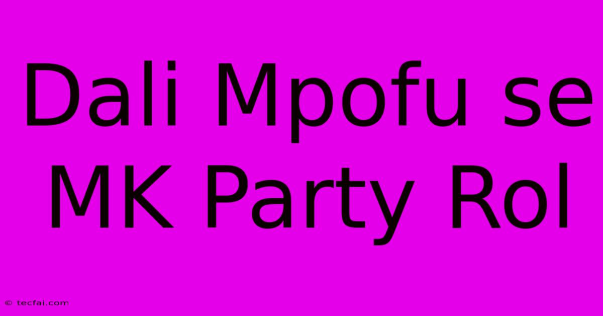 Dali Mpofu Se MK Party Rol