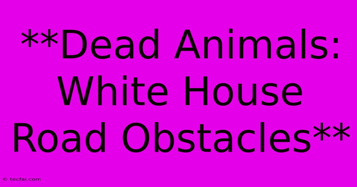 **Dead Animals: White House Road Obstacles**