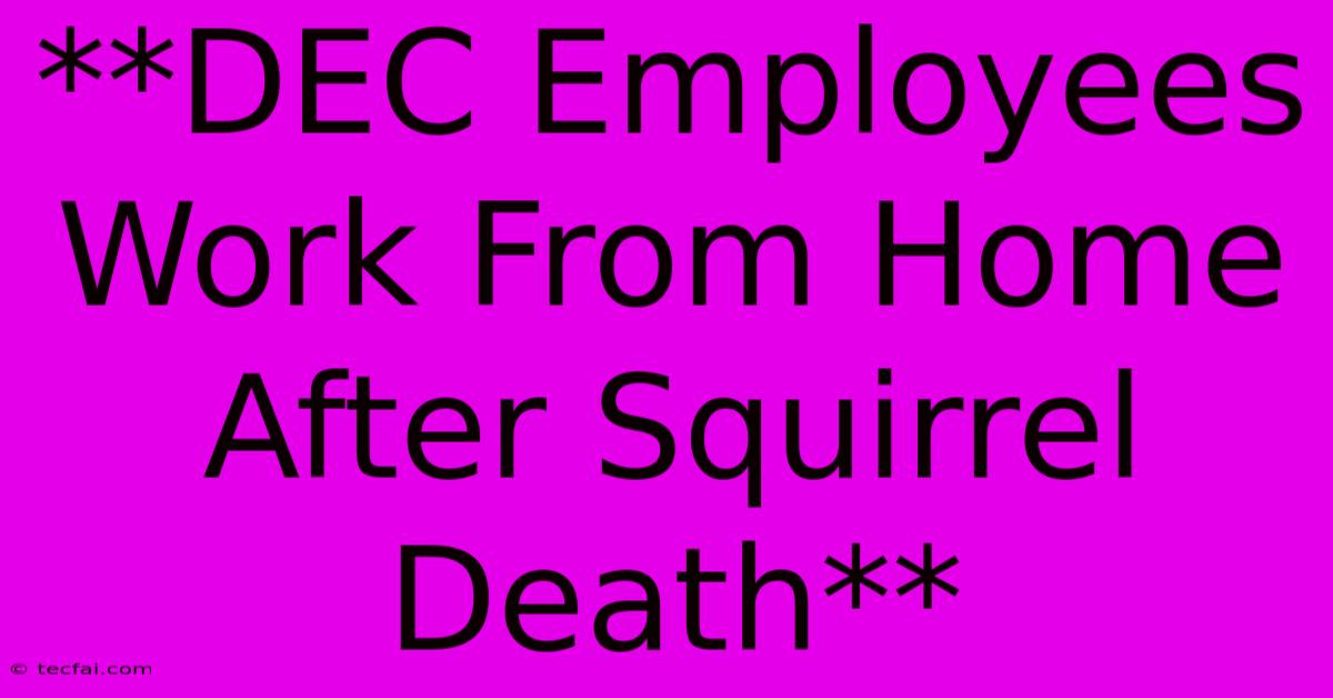 **DEC Employees Work From Home After Squirrel Death** 