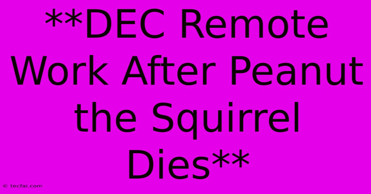 **DEC Remote Work After Peanut The Squirrel Dies** 