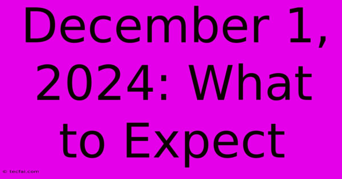 December 1, 2024: What To Expect