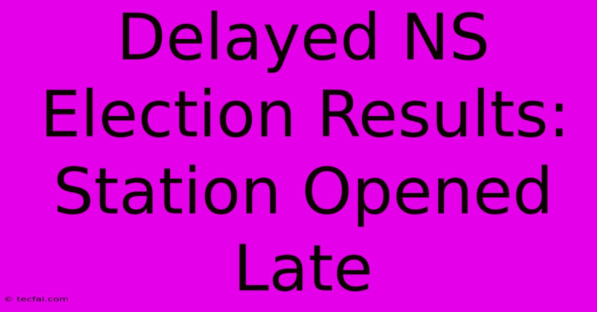 Delayed NS Election Results: Station Opened Late