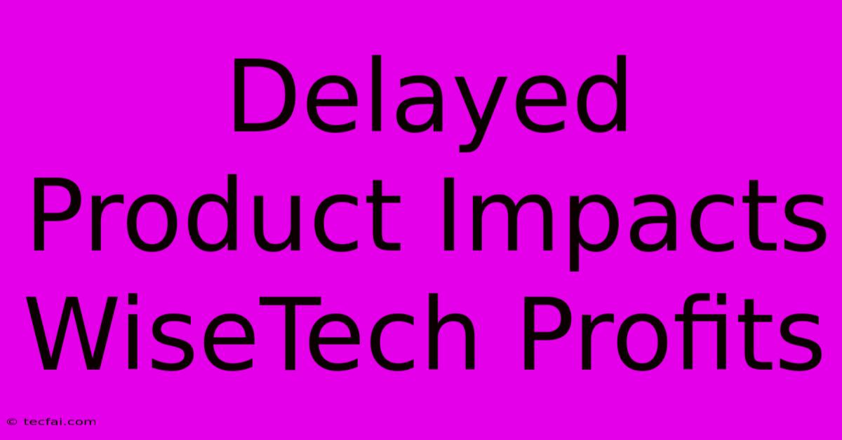 Delayed Product Impacts WiseTech Profits