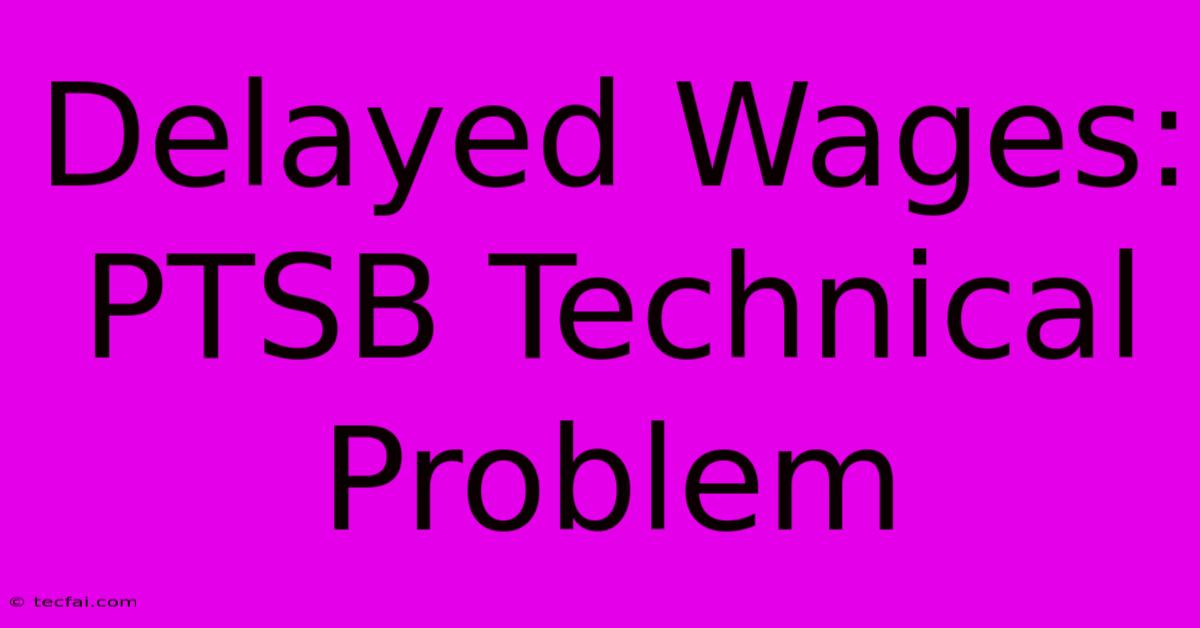 Delayed Wages: PTSB Technical Problem