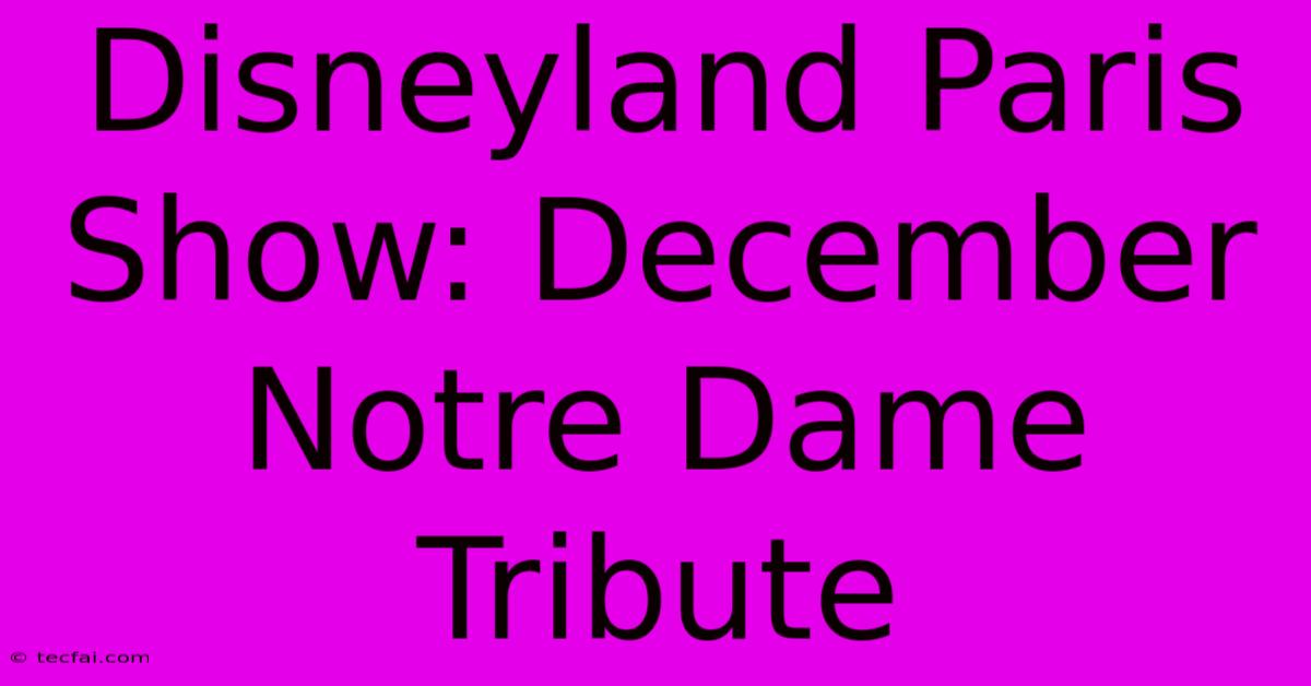 Disneyland Paris Show: December Notre Dame Tribute