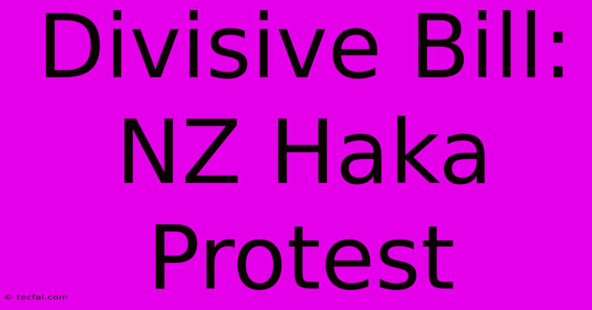 Divisive Bill: NZ Haka Protest