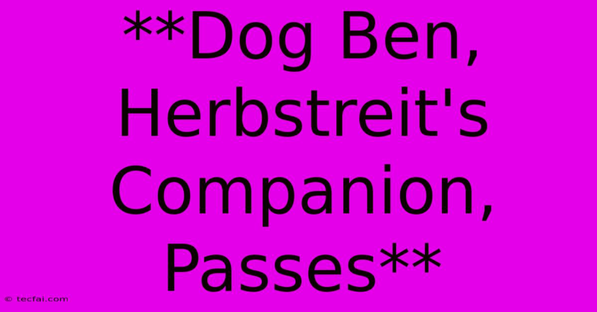 **Dog Ben, Herbstreit's Companion, Passes** 