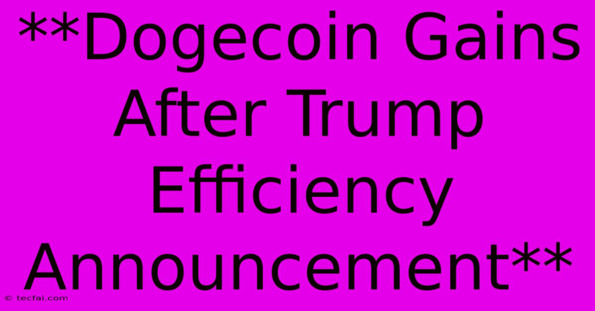 **Dogecoin Gains After Trump Efficiency Announcement**