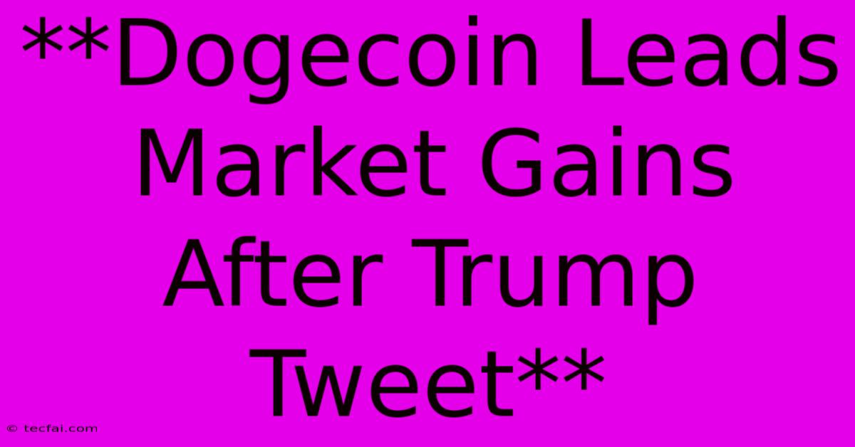 **Dogecoin Leads Market Gains After Trump Tweet** 