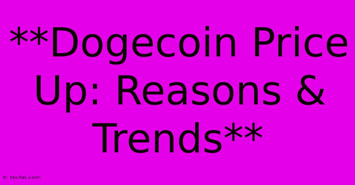 **Dogecoin Price Up: Reasons & Trends**