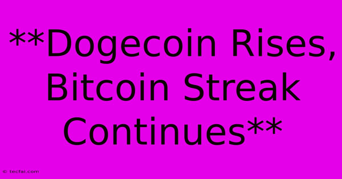 **Dogecoin Rises, Bitcoin Streak Continues**