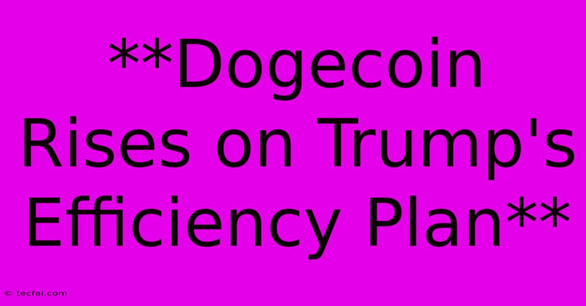 **Dogecoin Rises On Trump's Efficiency Plan**