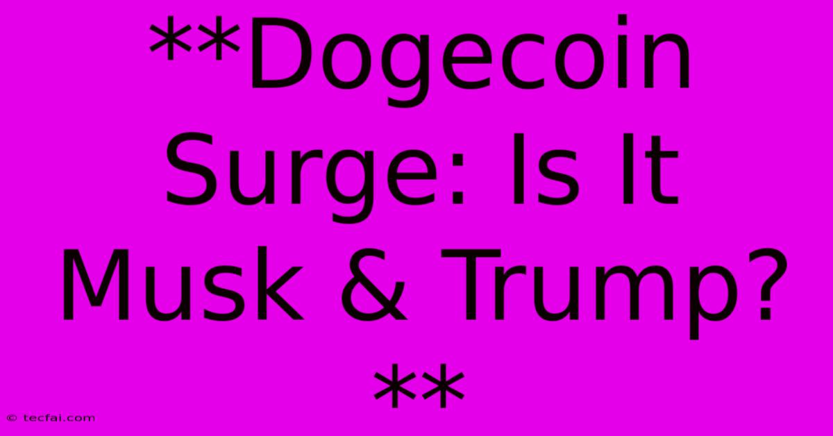 **Dogecoin Surge: Is It Musk & Trump?**