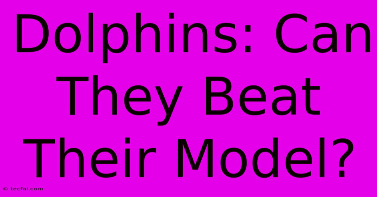 Dolphins: Can They Beat Their Model?