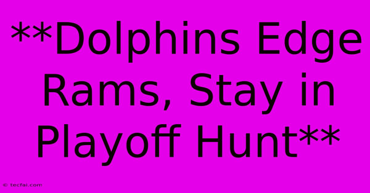 **Dolphins Edge Rams, Stay In Playoff Hunt**