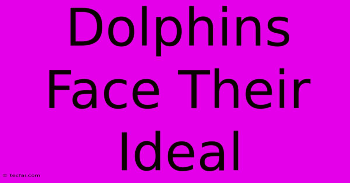 Dolphins Face Their Ideal