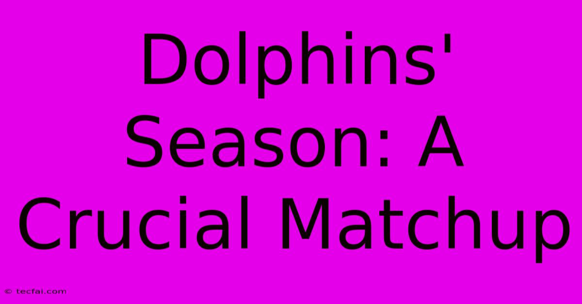 Dolphins' Season: A Crucial Matchup