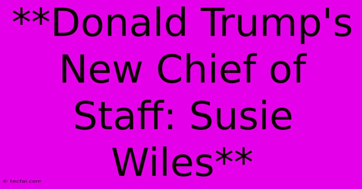 **Donald Trump's New Chief Of Staff: Susie Wiles** 