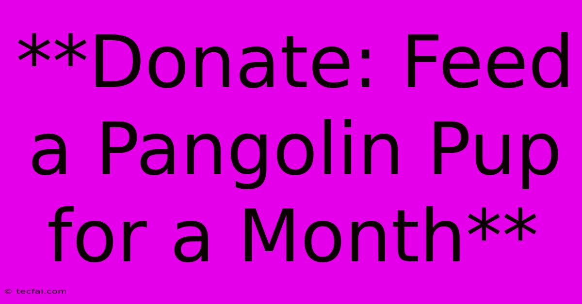 **Donate: Feed A Pangolin Pup For A Month** 