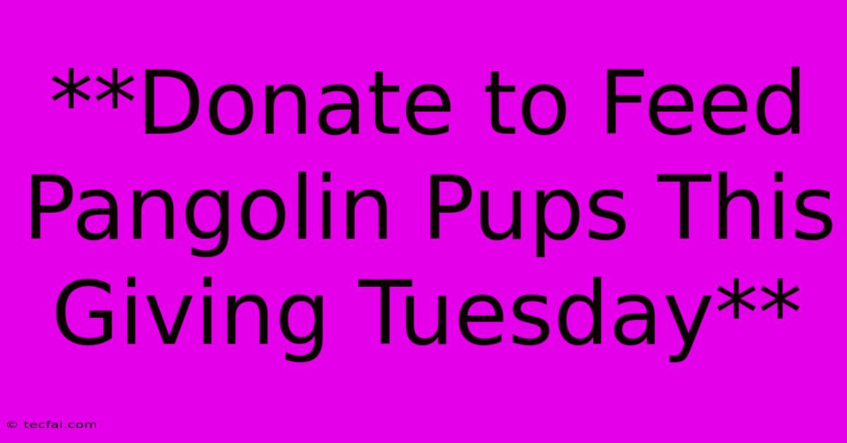 **Donate To Feed Pangolin Pups This Giving Tuesday** 