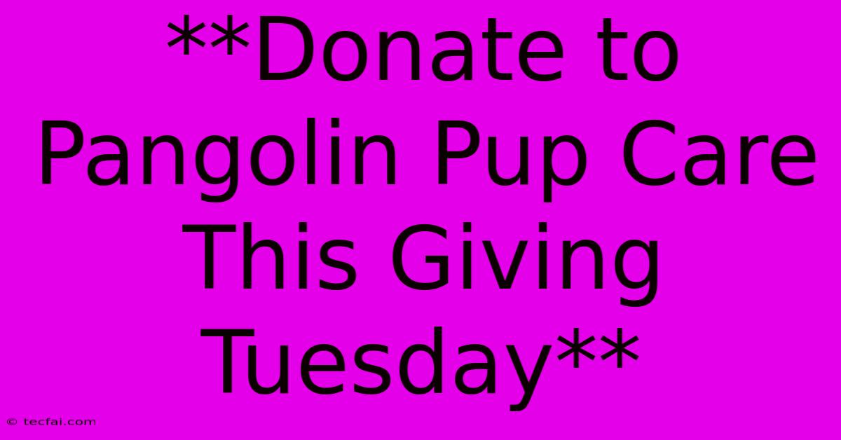 **Donate To Pangolin Pup Care This Giving Tuesday** 