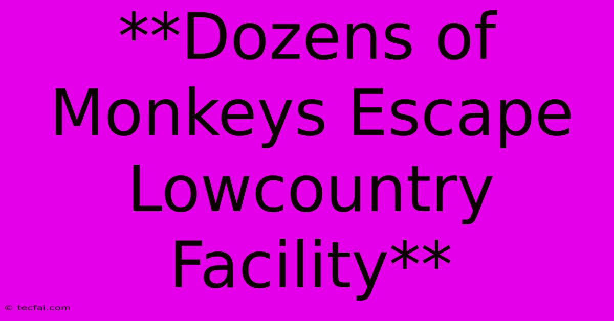 **Dozens Of Monkeys Escape Lowcountry Facility**