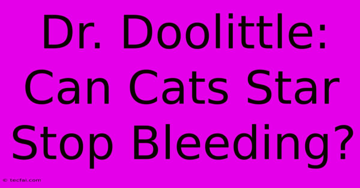 Dr. Doolittle: Can Cats Star Stop Bleeding?