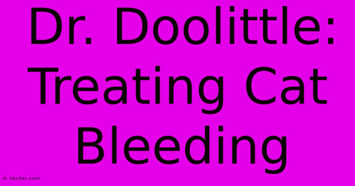 Dr. Doolittle: Treating Cat Bleeding