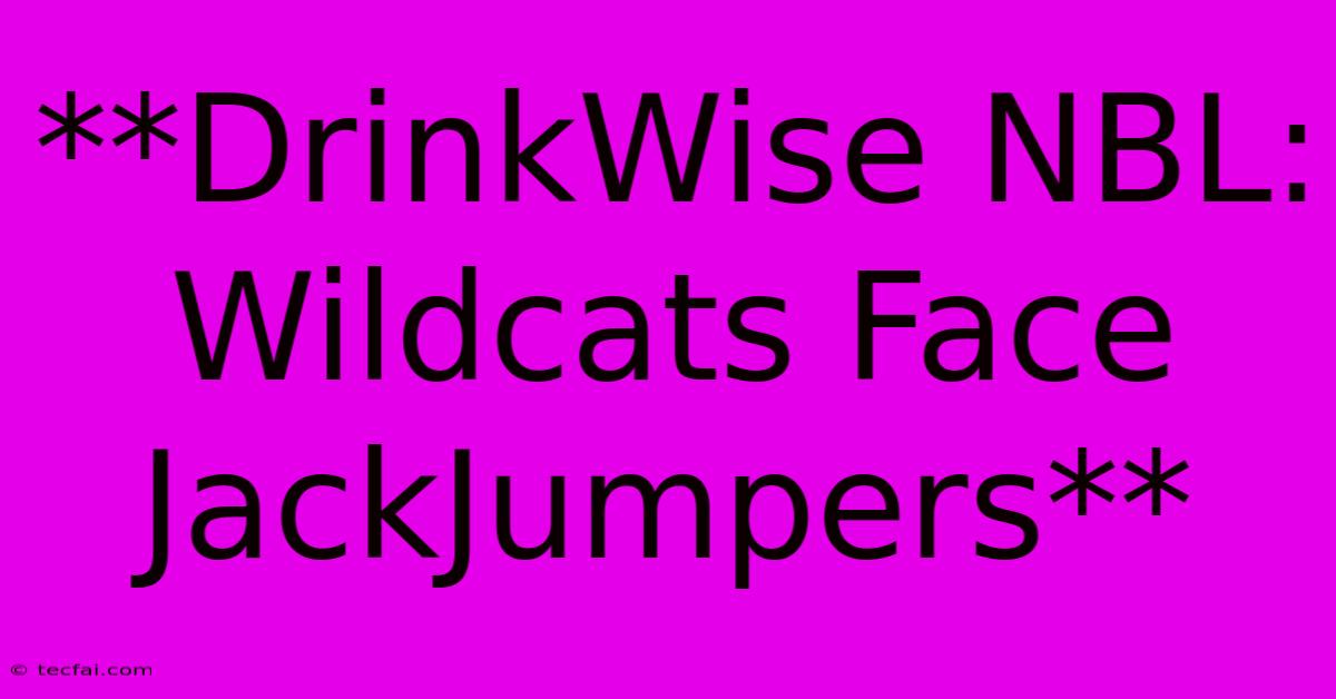 **DrinkWise NBL: Wildcats Face JackJumpers**