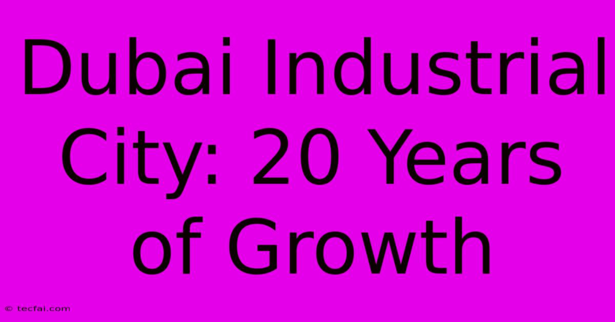 Dubai Industrial City: 20 Years Of Growth